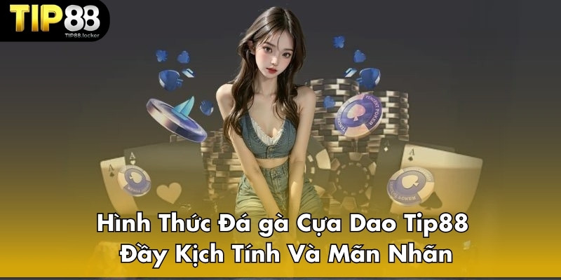 Đá gà cựa dao Tip88