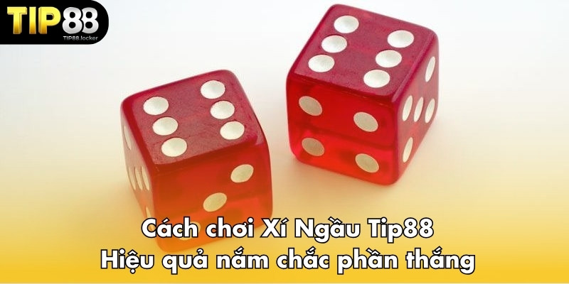 Cách chơi Xí Ngầu Tip88