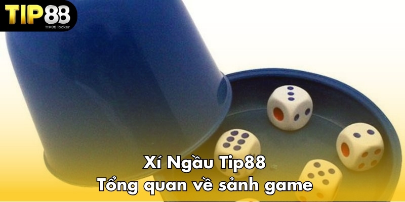 Giới thiệu Xí Ngầu Tip88