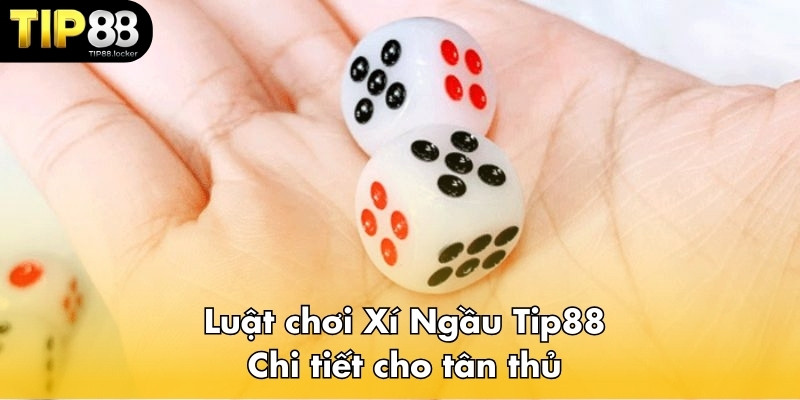 Luật chơi Xí Ngầu Tip88