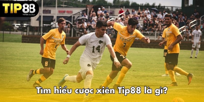 Tìm hiểu cược xiên Tip88 là gì?