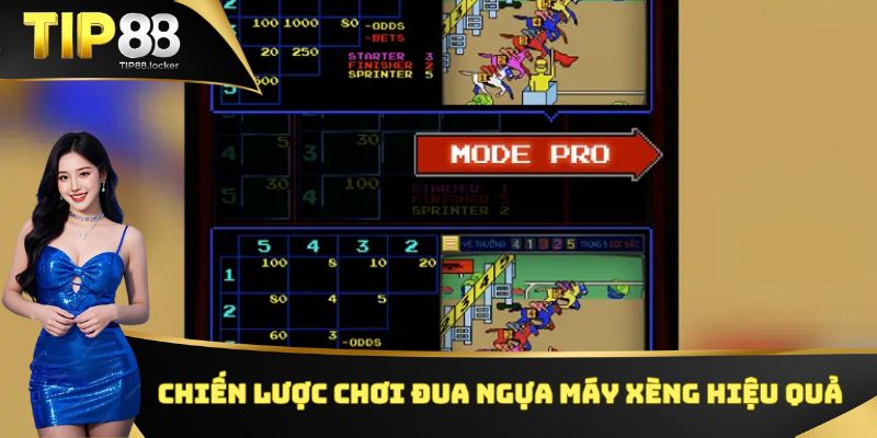 Chiến lược chơi đua ngựa máy xèng hiệu quả