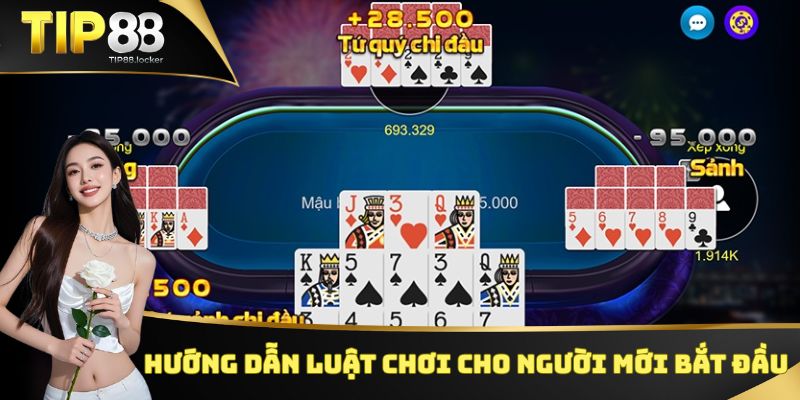 Hướng dẫn luật chơi cho người mới bắt đầu