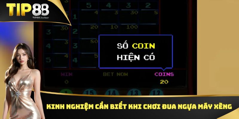 Kinh nghiệm cần biết khi chơi đua ngựa máy xèng