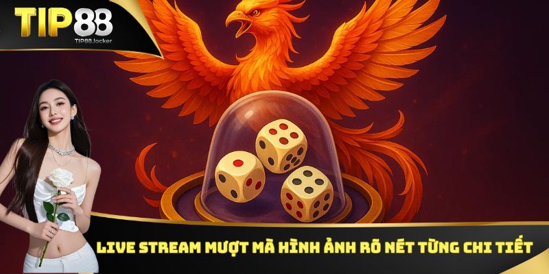 Live stream mượt mà hình ảnh rõ nét từng chi tiết